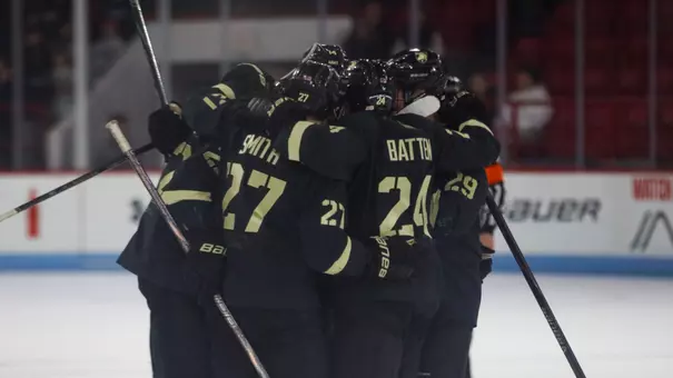 Hockey Huddle After Scoring A Goal
