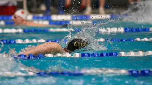 Swim/Dive