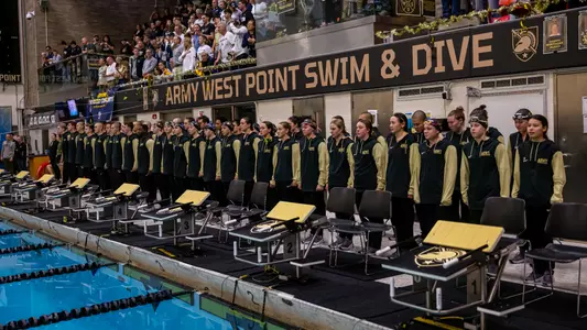 Swim Dive Lineup