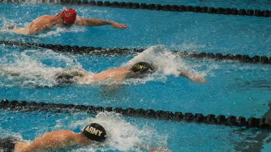 Swimming & Diving Free