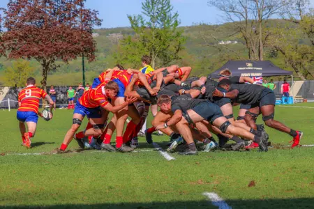 Guelph Preview