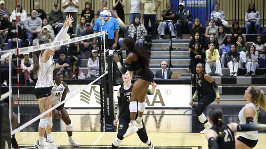 VIctoria Kasanganay Goes Up for a Hit against Lehigh