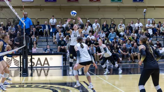 Naomi Chinchar Sets Ball Inside Gillis Field House in Star Match Against Navy