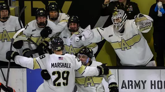 Hockey Celebrating After a Goal
