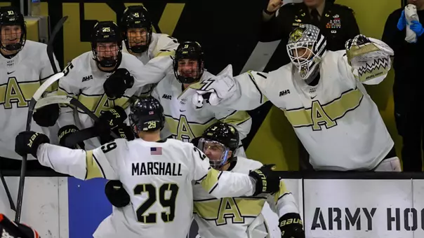 Hockey Celebrating After a Goal