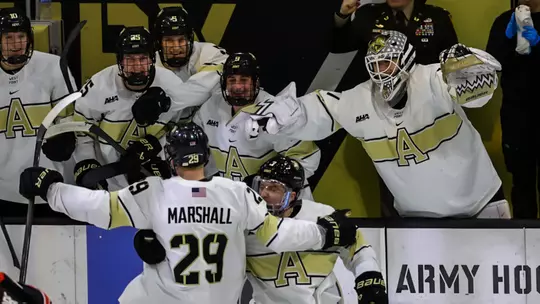 Hockey Celebrating After a Goal