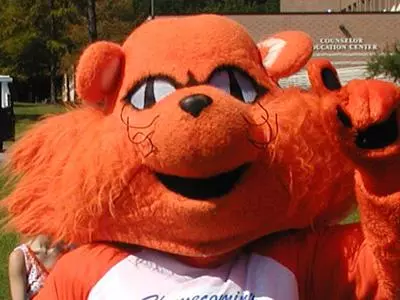 Bearkat sports teams sign top recruits