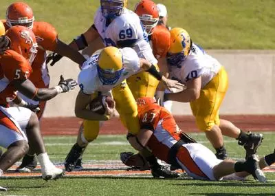 McNeese spoils homecoming 28-17