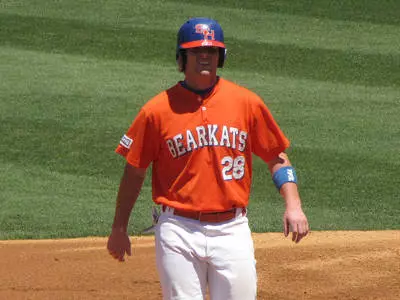 Lions hand baseball 9-5 loss in series opener