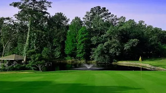 12th Annual Baseball Golf Scramble Nov. 9