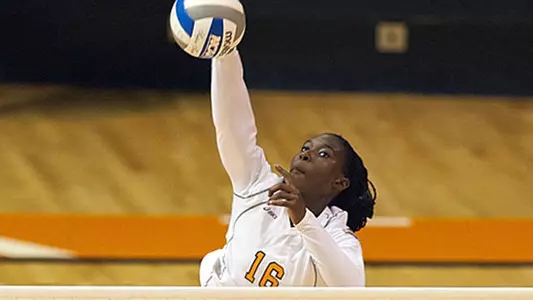 Deveney Wells-Gibson Preseason All-Southland
