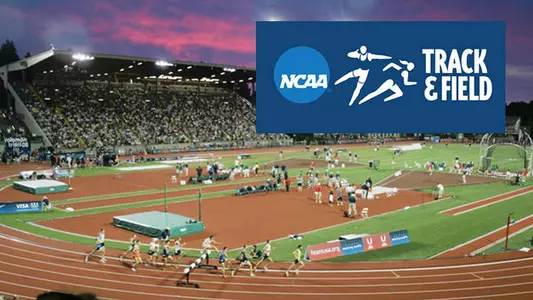 Action Begins For 3 Kats At NCAA Finals