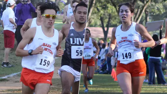 Kats make mark at South Central Regionals