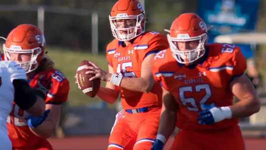 Briscoe named FCS ADA Offensive Player of the Year