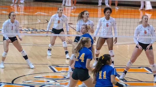 Kats return home to host ACU