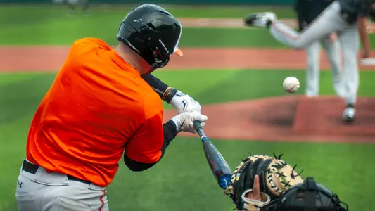 Baseball At Bat 2020