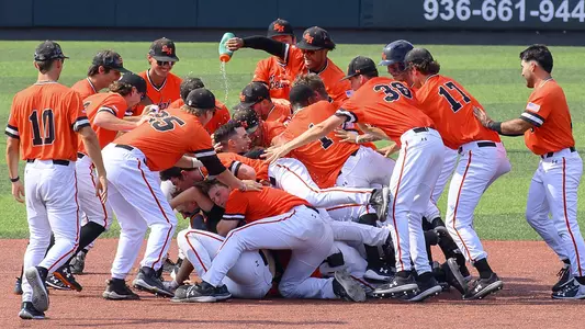 Baseball dog pile