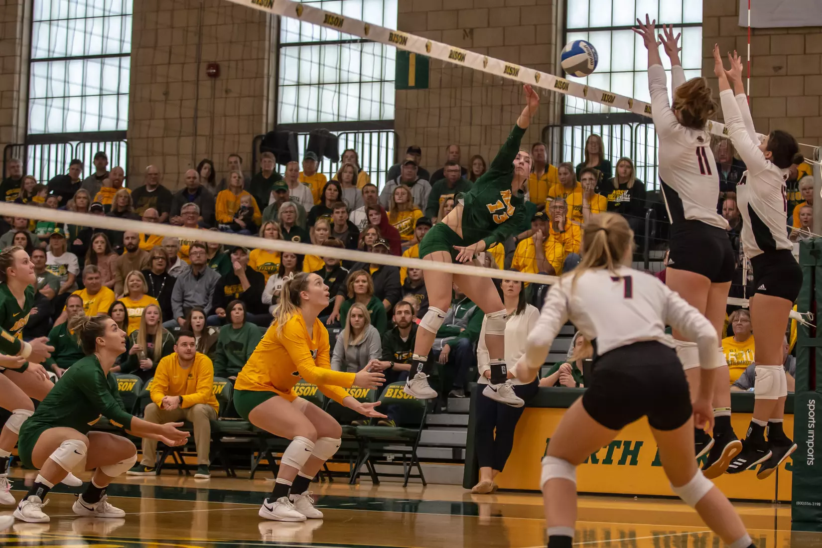 North Dakota State's Alexis Bachmeier against Omaha in the Bentson Bunker Fieldhouse.