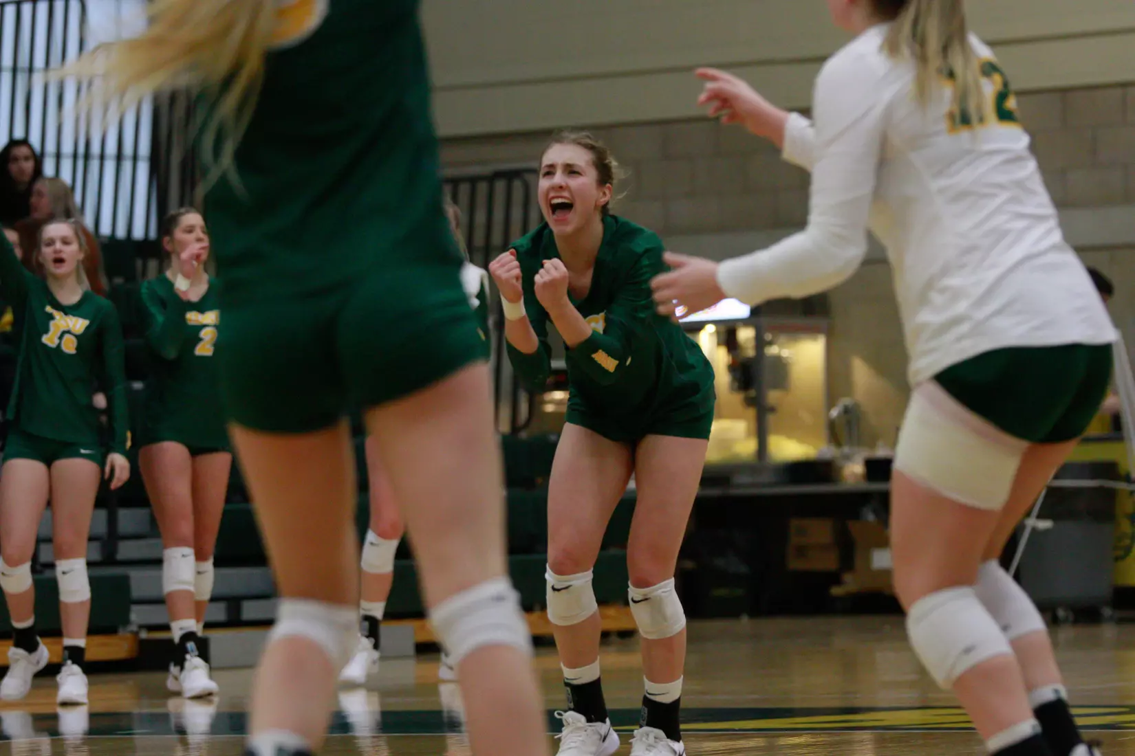 North Dakota State junior Alexis Bachmeier during 3-1 win over Oral Roberts on Nov. 17 in Bentson Bunker Fieldhouse.