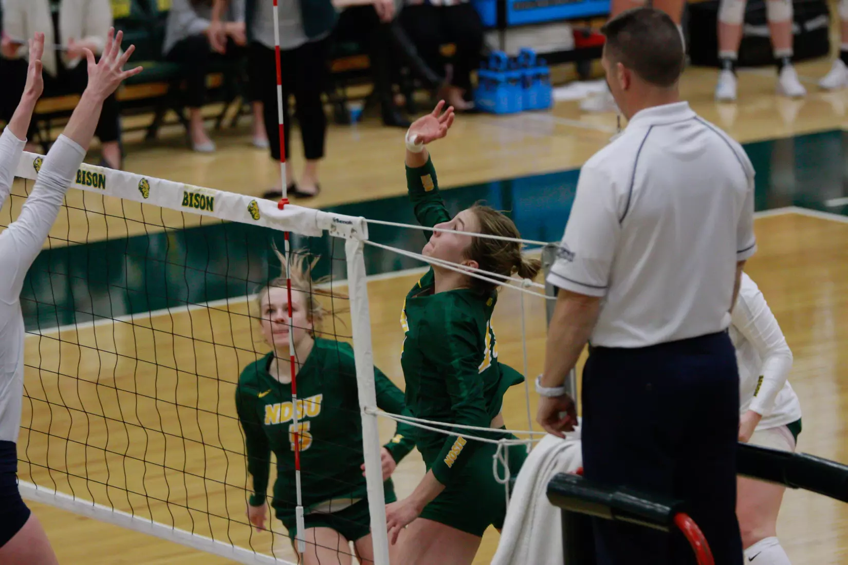 North Dakota State junior Alexis Bachmeier during 3-1 win over Oral Roberts on Nov. 17 in Bentson Bunker Fieldhouse.