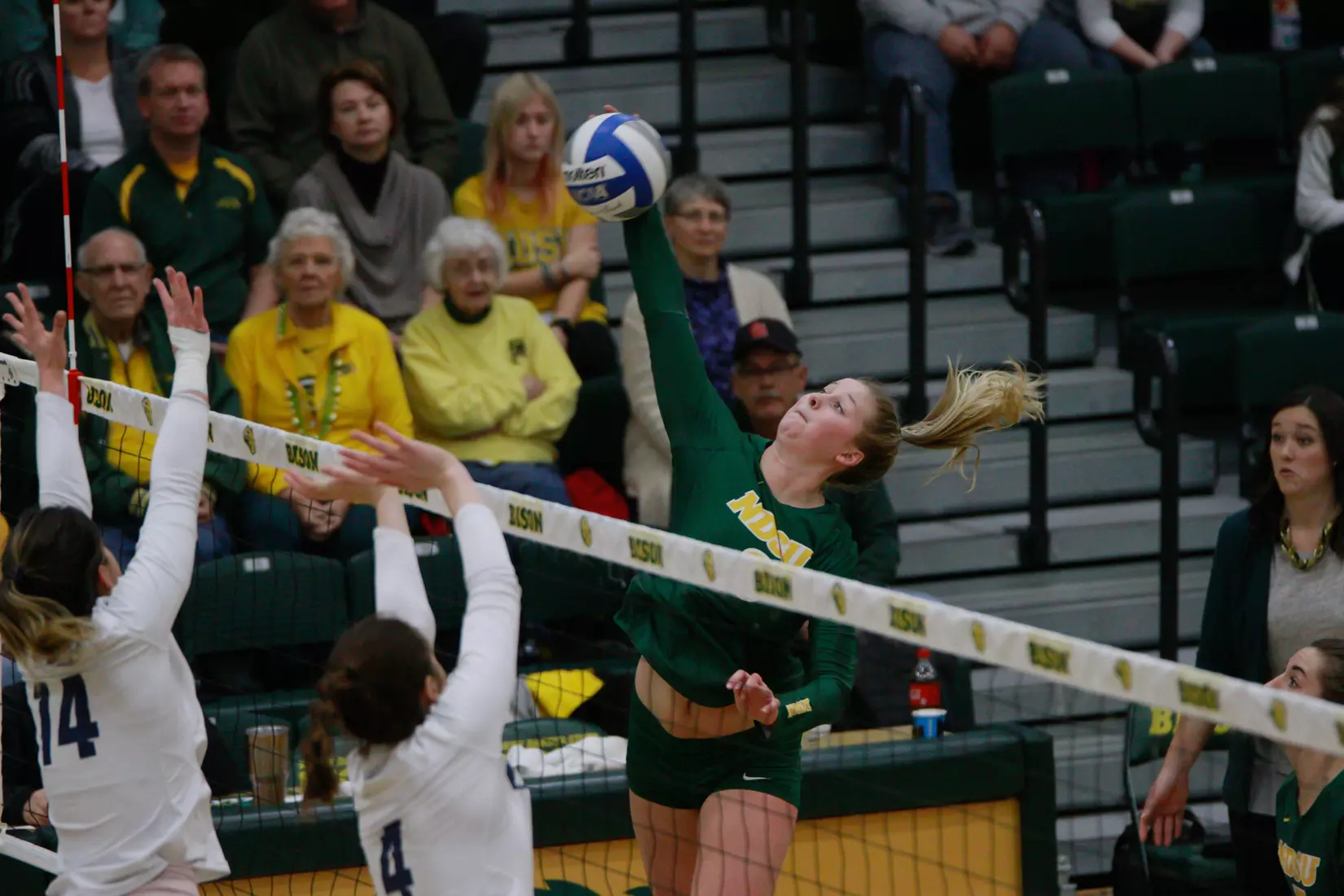 North Dakota State junior Bella Lien during 3-1 win over Oral Roberts on Nov. 17 in Bentson Bunker Fieldhouse.