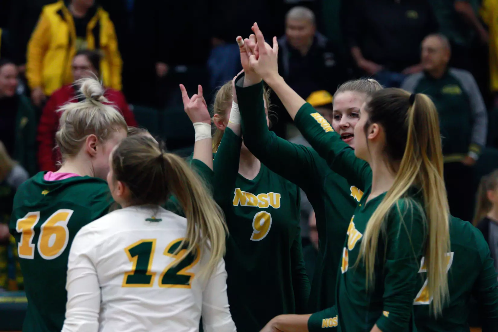 North Dakota State volleyball with horns up after timeout during 3-1 win over Oral Roberts on Nov. 17 in Bentson Bunker Fieldhouse.