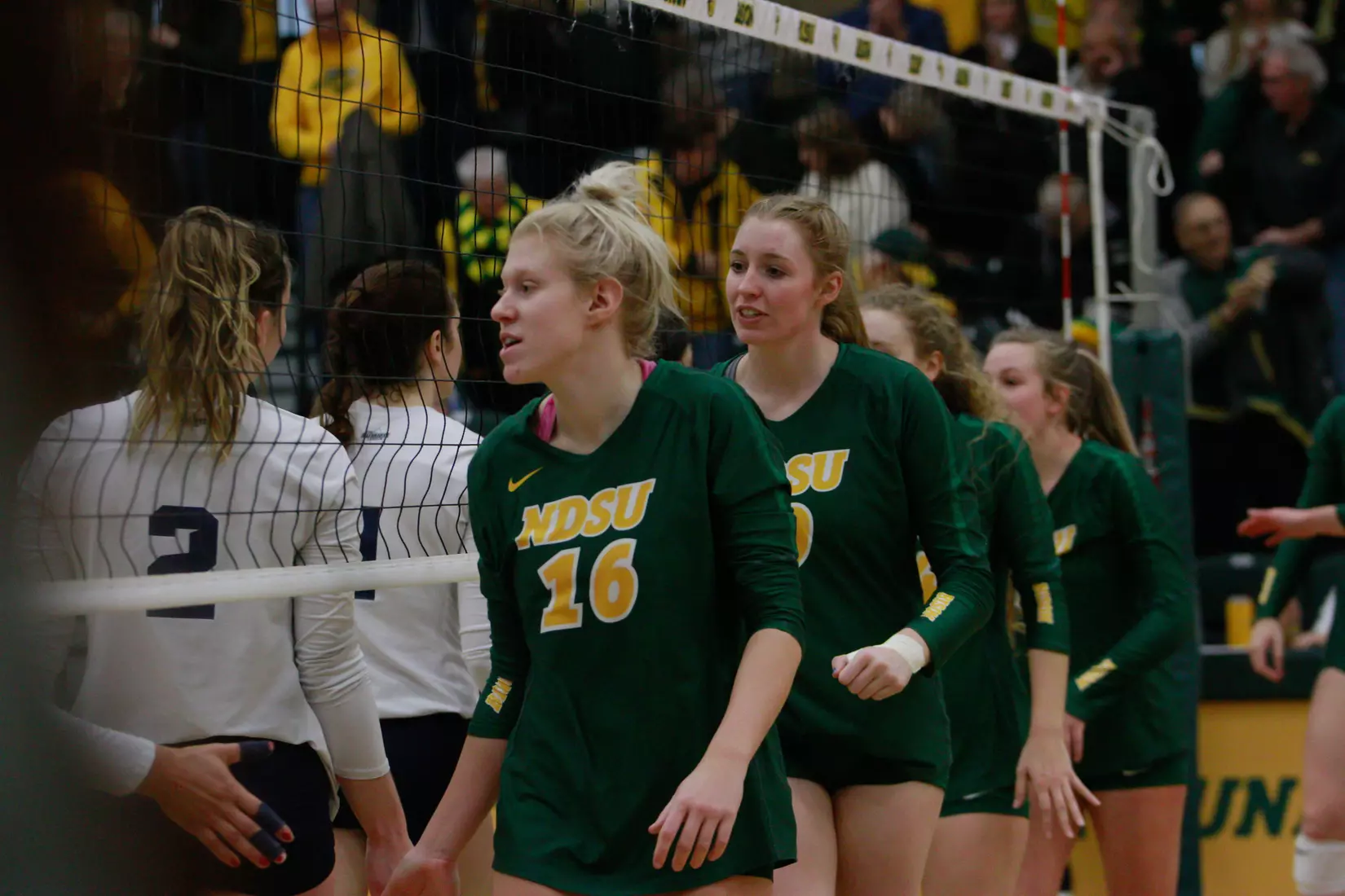 North Dakota State post-match handshake following 3-1 win over Oral Roberts on Nov. 17 in Bentson Bunker Fieldhouse.