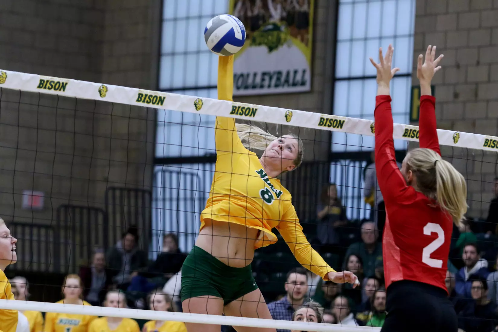 North Dakota State's Bella Lien against South Dakota in the Bentson Bunker Fieldhouse.
