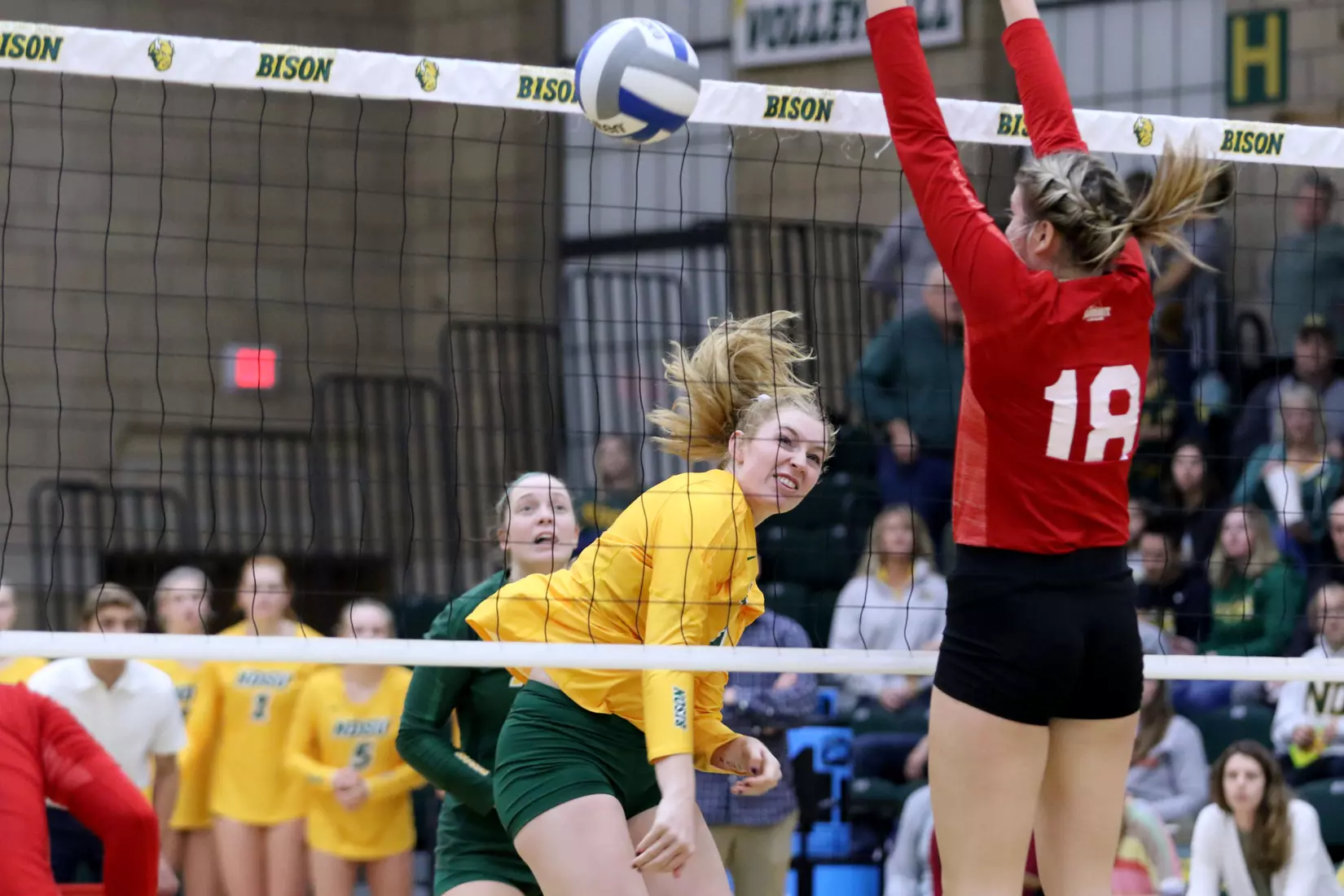 North Dakota State's Emily Halverson against South Dakota in the Bentson Bunker Fieldhouse.