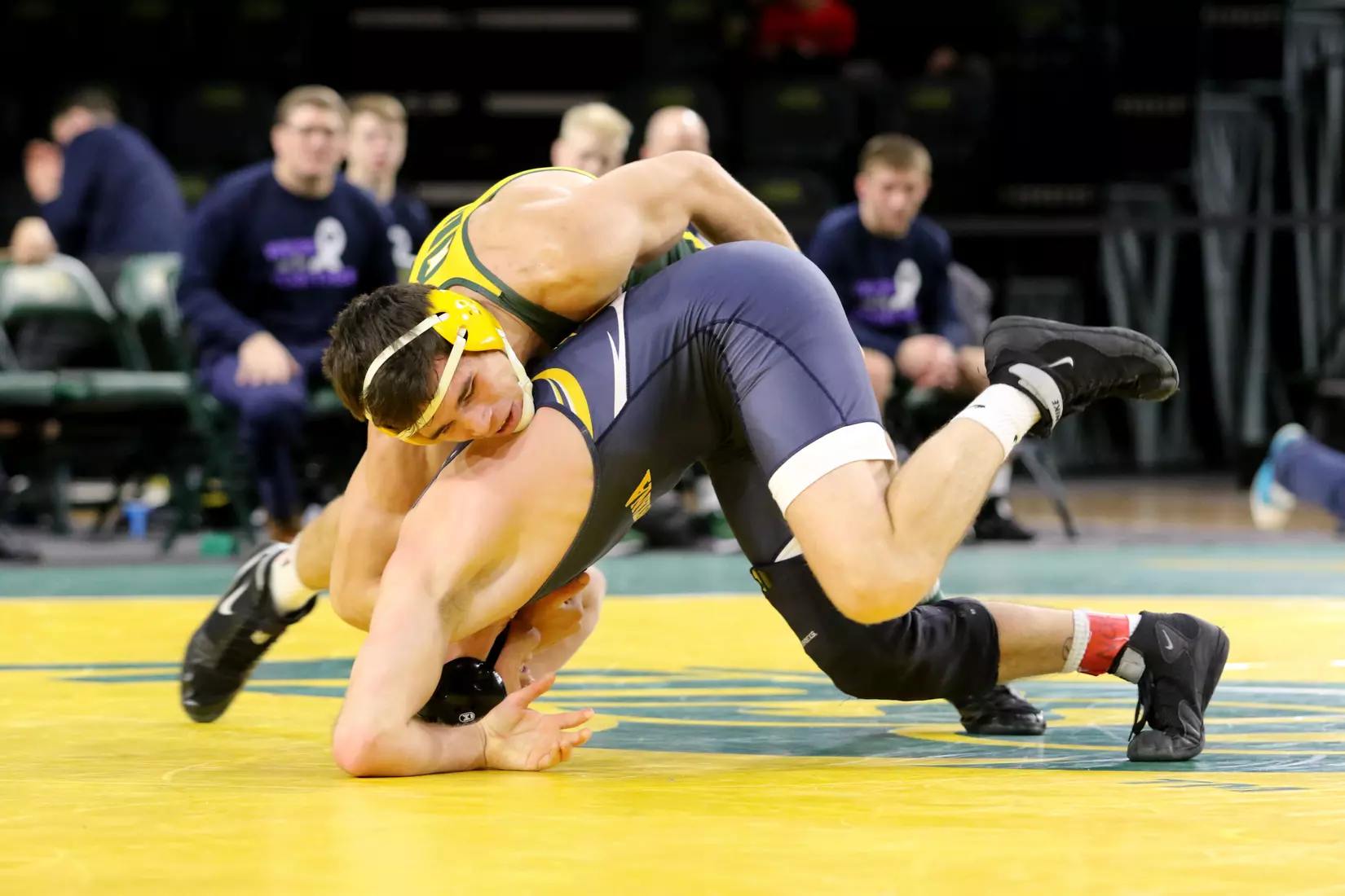 North Dakota State 184 Noah Cressell during the 32-9 win over Augustana on Dec. 1 in Scheels Center.