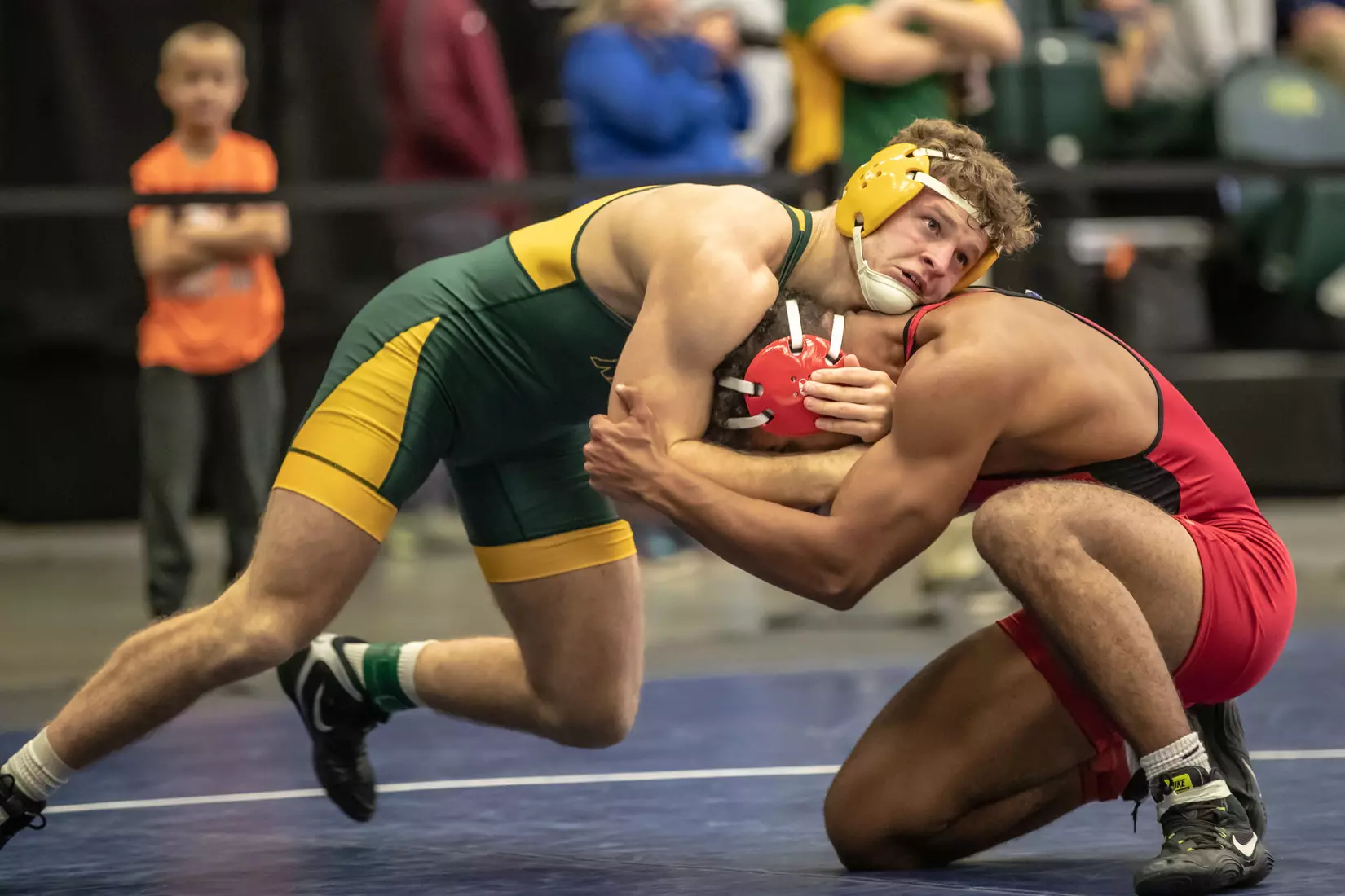 North Dakota State 174 Austin Brenner at 49th Bison Open on Nov. 9 in Scheels Center.