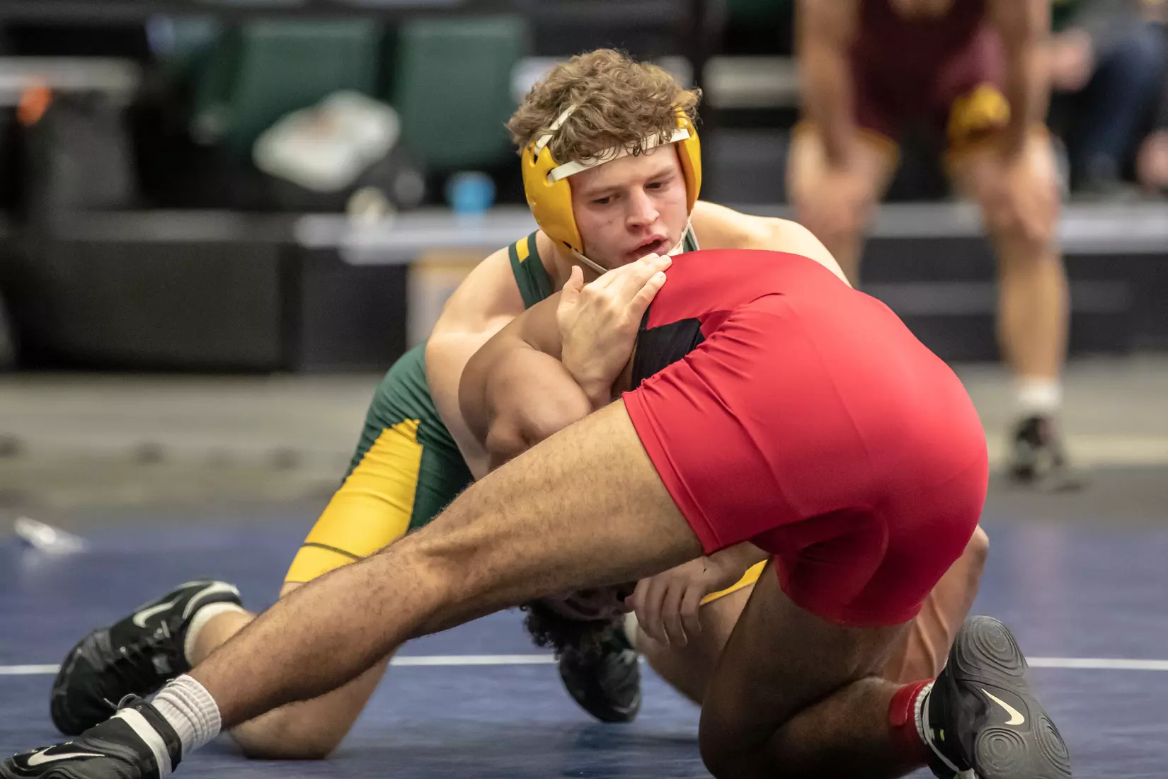 North Dakota State 174 Austin Brenner at 49th Bison Open on Nov. 9 in Scheels Center.