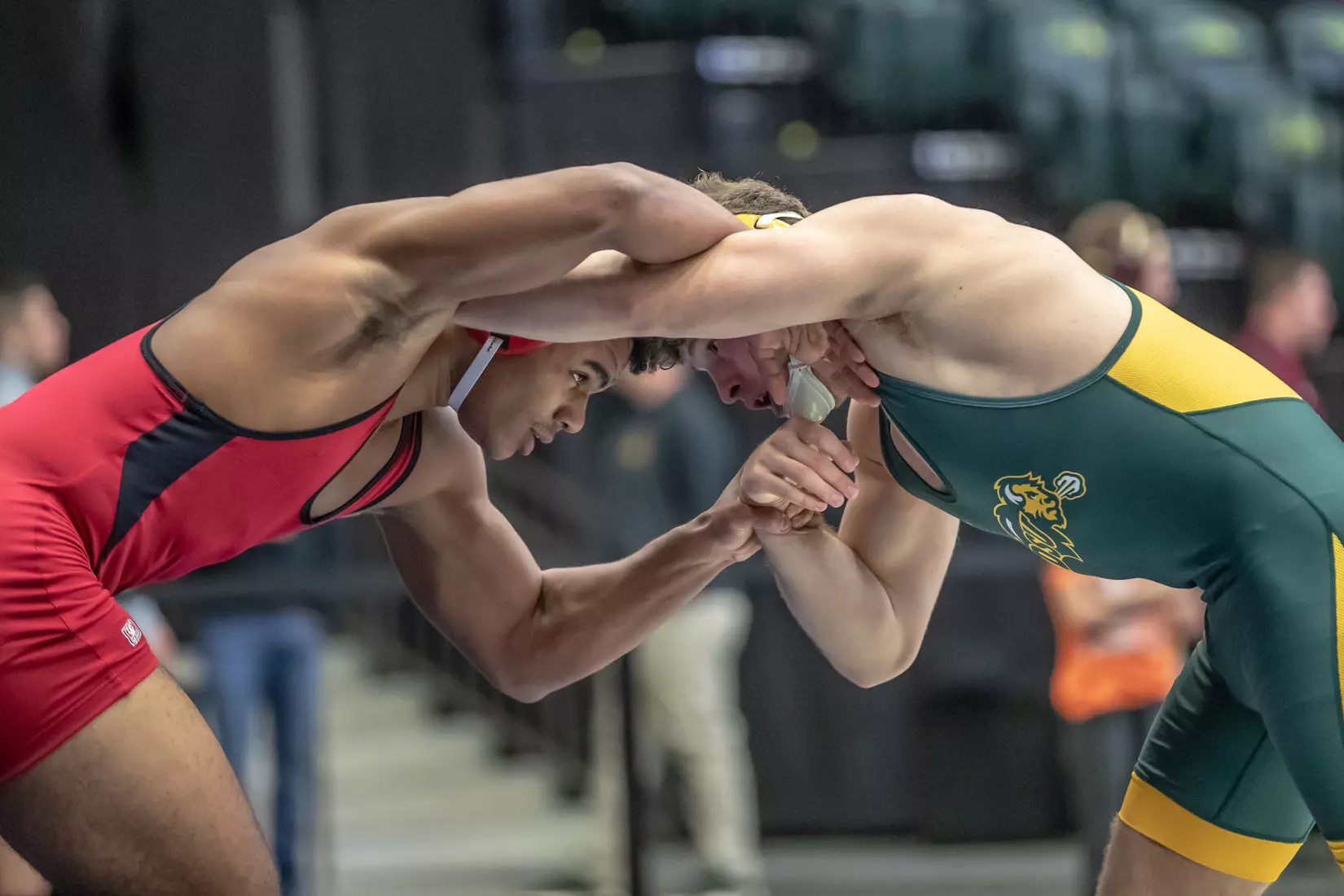 North Dakota State 174 Austin Brenner at 49th Bison Open on Nov. 9 in Scheels Center.