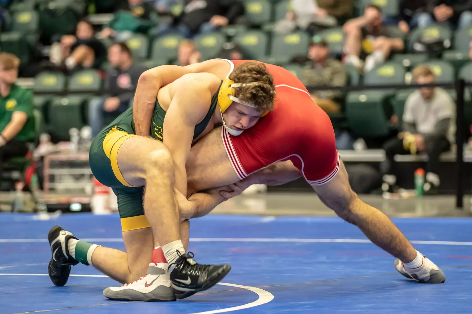 North Dakota State 174 Austin Brenner at 49th Bison Open on Nov. 9 in Scheels Center.