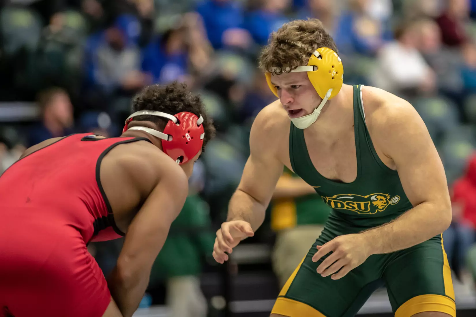 North Dakota State 174 Austin Brenner at 49th Bison Open on Nov. 9 in Scheels Center.