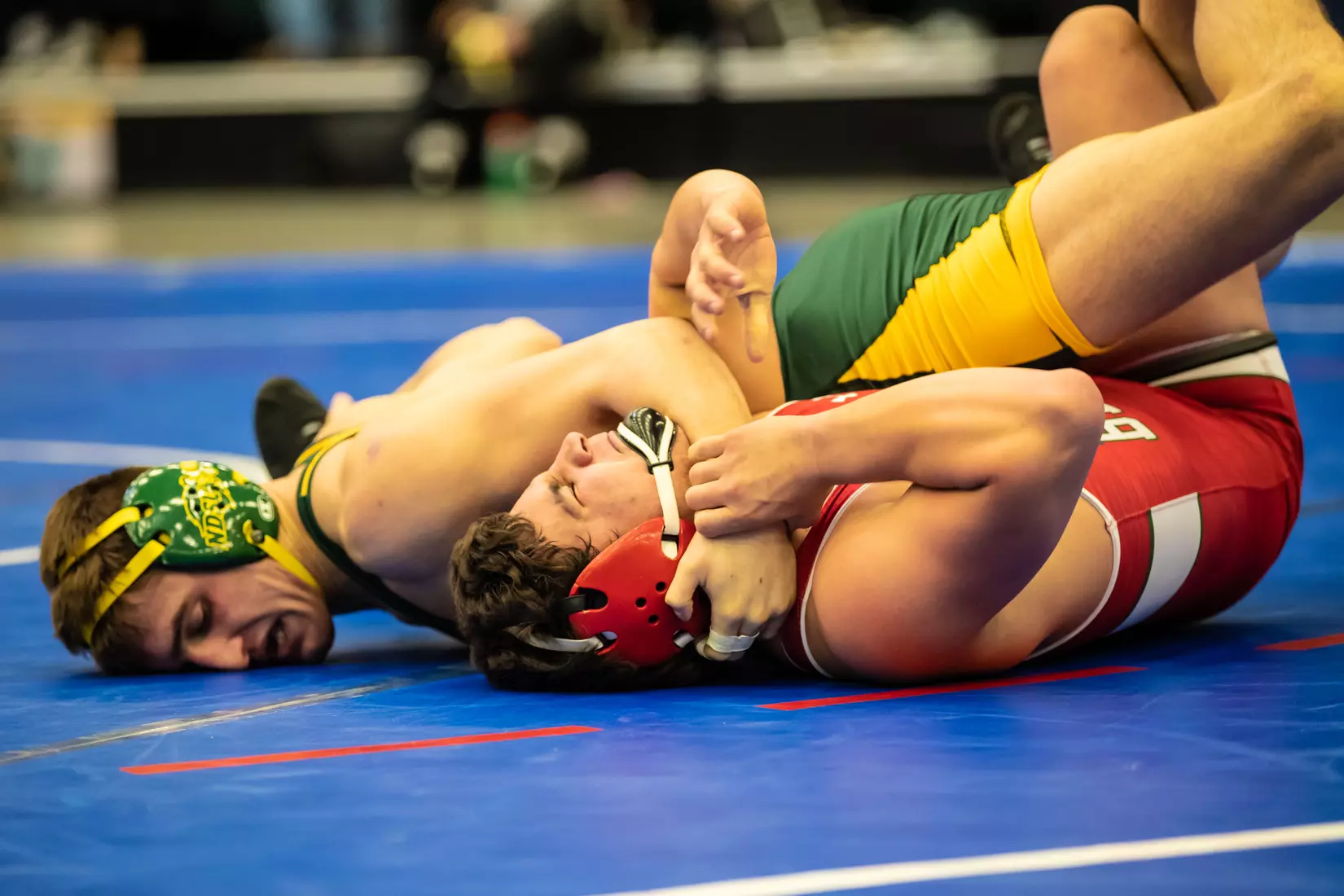 North Dakota State 174 Jimmy Noel at 49th Bison Open on Nov. 9 in Scheels Center.