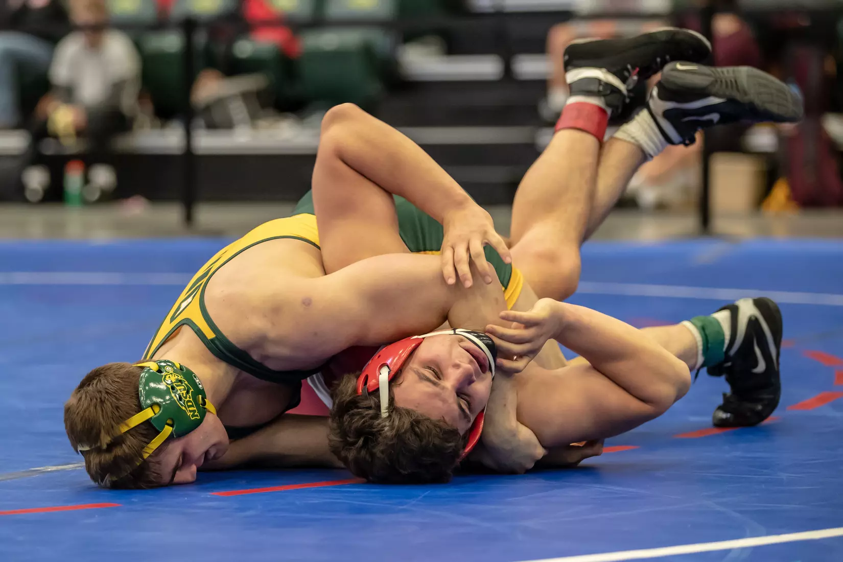 North Dakota State 174 Jimmy Noel at 49th Bison Open on Nov. 9 in Scheels Center.