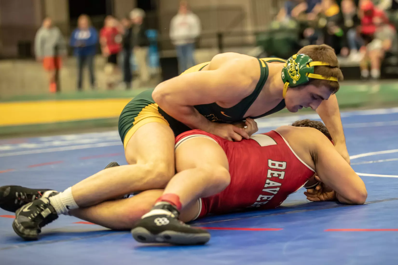 North Dakota State 174 Jimmy Noel at 49th Bison Open on Nov. 9 in Scheels Center.