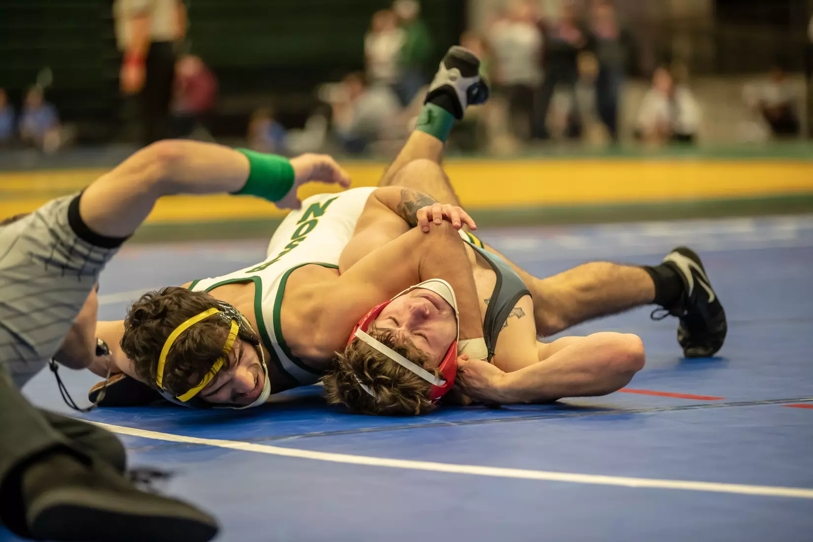 North Dakota State unattached 149 Michael Weber at 49th Bison Open on Nov. 9 in Scheels Center.