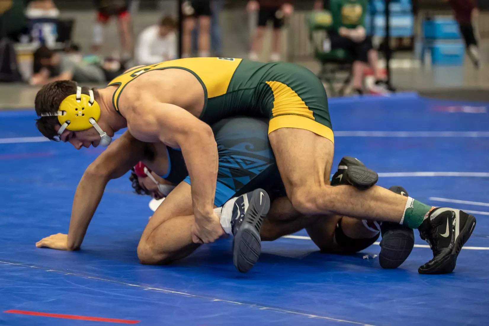 North Dakota State 184 Noah Cressell at 49th Bison Open on Nov. 9 in Scheels Center.
