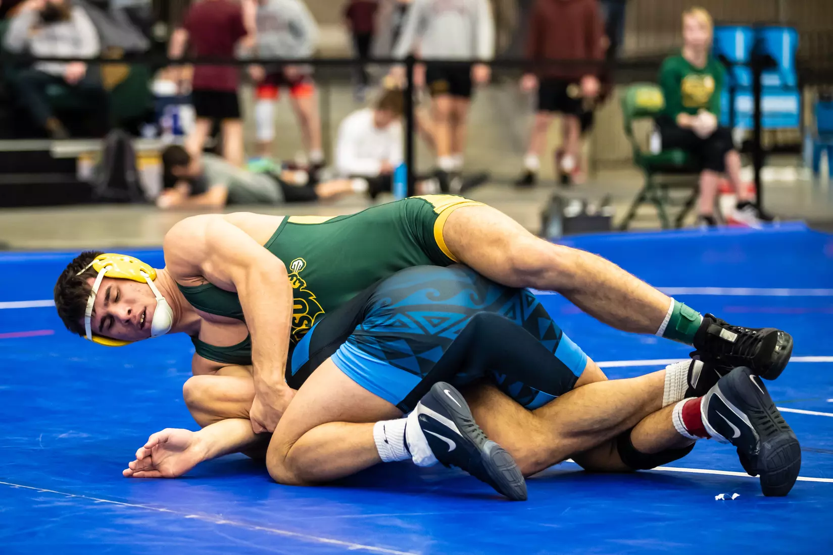 North Dakota State 184 Noah Cressell at 49th Bison Open on Nov. 9 in Scheels Center.