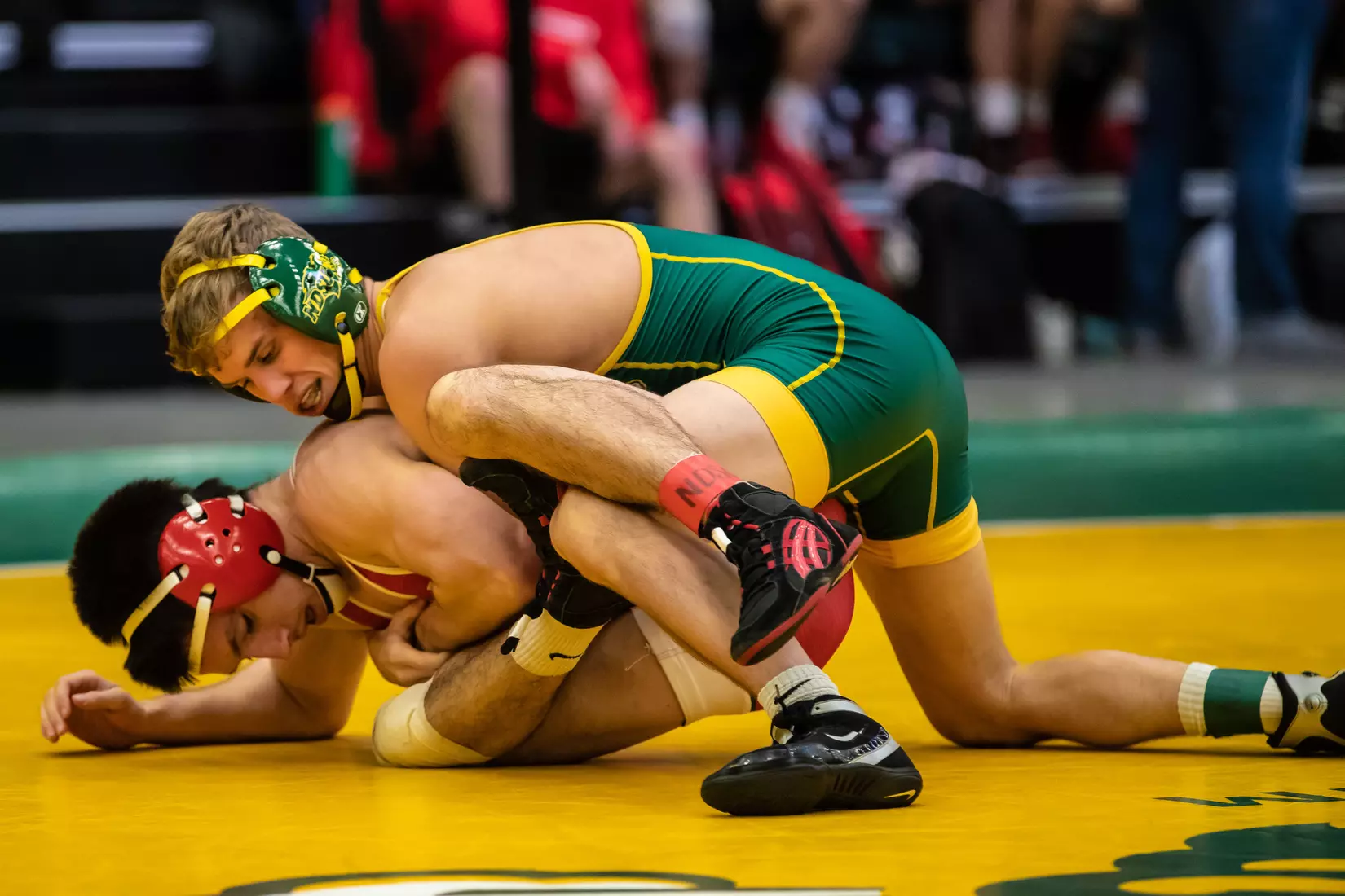 North Dakota State unattached 133 Ryan Ripplinger at 49th Bison Open on Nov. 9 in Scheels Center.