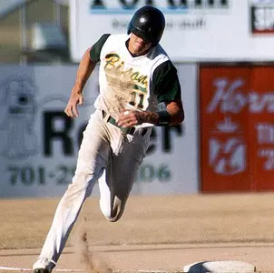 Piepkorn, Wagner, and Bison Among 2004 NCAA Division II Baseball Leaders Image