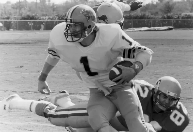 1985 Palm Bowl