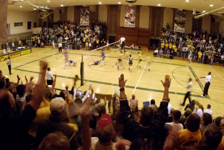 Bison Volleyball Schedule Set for 2008 Image