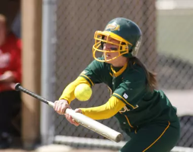North Dakota State Tops Utah 4-2, No. 11 Arizona Blanks Bison 10-0 at Wildcat Invitational Image