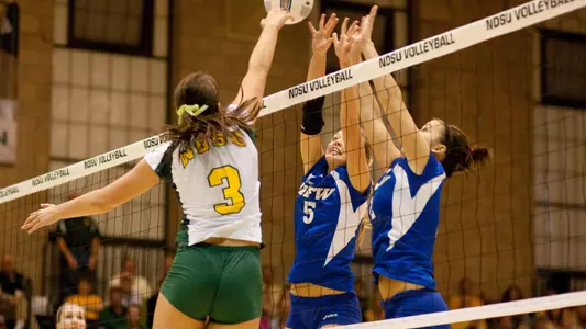 Drake Defeats North Dakota State, 3-1 Image