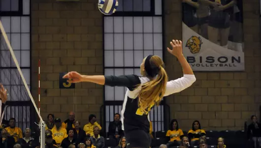 Bison Win Third Straight League Match Over Omaha, 3-0 Image