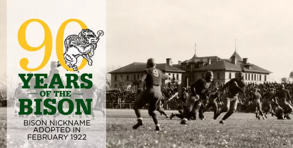 Bison Nickname Turns 90 Years Old Image