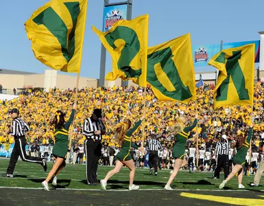 Cheer Team Flags